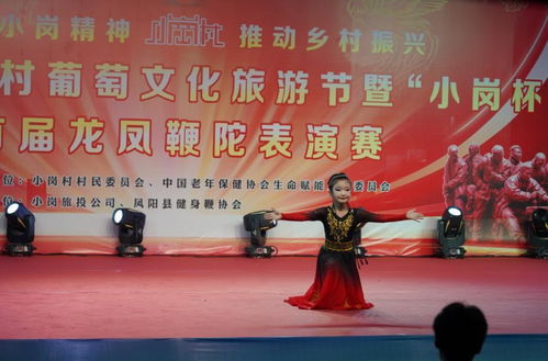 豐收盛宴，文化共融——2024小崗村葡萄文化旅游節(jié)暨首屆龍鳳鞭陀表演賽隆重開(kāi)幕